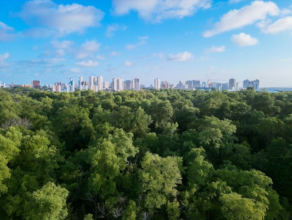 Les meilleures techniques pour couper la fibre de bois avec succès