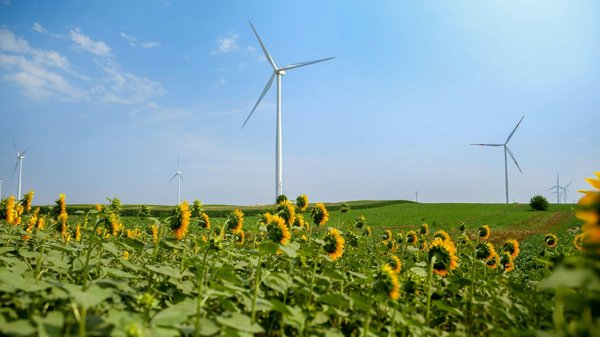 Blog écologie : actions concrètes pour sauver notre planète